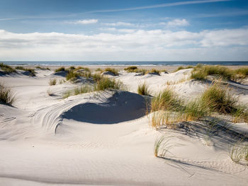 Scenic view of beach against sky