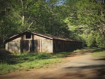 Old building by trees in forest