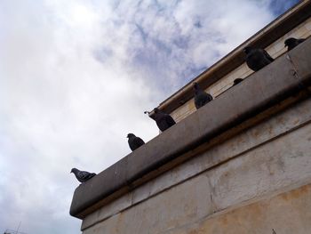 Low angle view of bird perching on building against sky