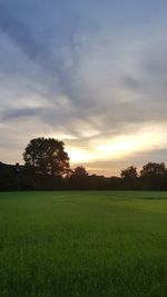 Scenic view of field against sky during sunset