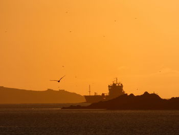 Silhouette view over water of seagull in flight with oil and gas vessel emerging from behind island