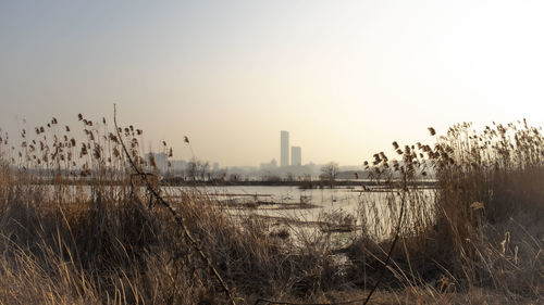 Scenic view of lake by buildings against clear sky