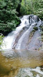 Scenic view of waterfall in forest