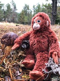 Close-up of stuffed toy on field