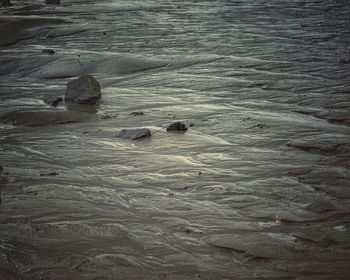 High angle view of swimming in sea