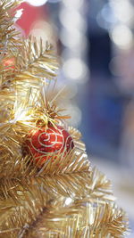 Close-up of christmas tree