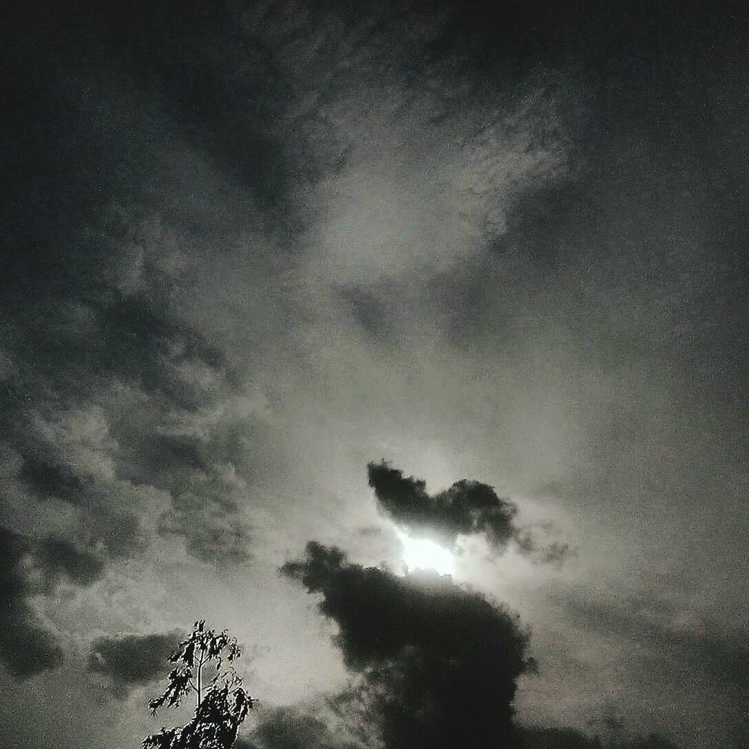 low angle view, sky, cloud - sky, tree, tranquility, beauty in nature, cloudy, scenics, silhouette, nature, tranquil scene, weather, overcast, dusk, cloud, high section, outdoors, idyllic, no people, storm cloud