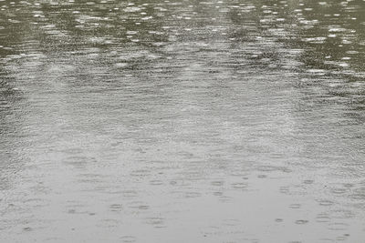 High angle view of raindrops on lake