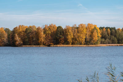 Scenic view of lake against sky during autumn