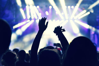 Crowd at music concert