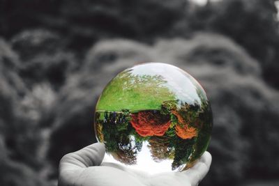 Close-up of person holding crystal ball