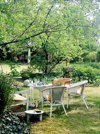 Chairs and table in garden