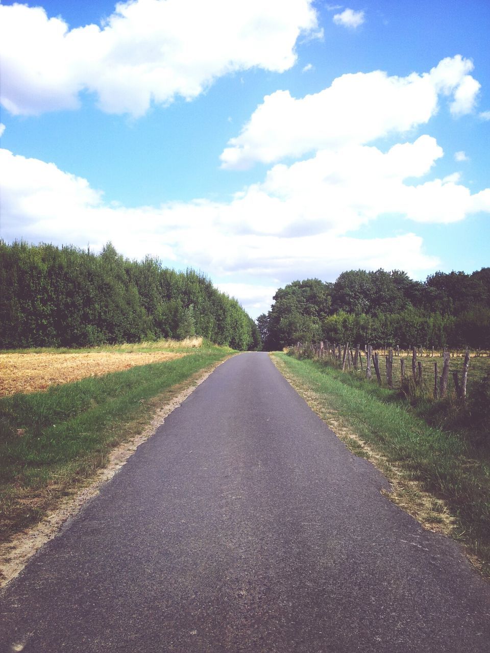 the way forward, sky, diminishing perspective, vanishing point, road, tranquility, tranquil scene, transportation, cloud - sky, landscape, tree, country road, cloud, nature, field, long, scenics, empty road, beauty in nature, grass