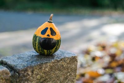 Scary halloween pumpkin on a brick fence in the suburbs against the backdrop of autumn foliage.