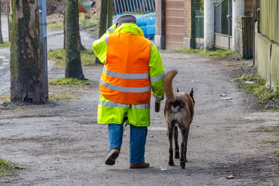 Rear view of man working with dog