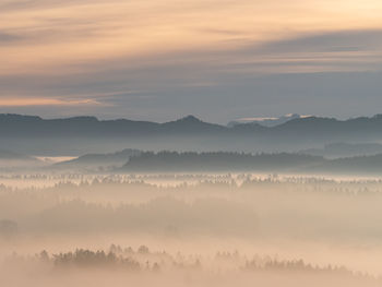 fog