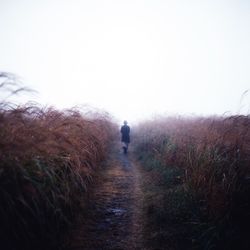 Rear view of woman walking on field