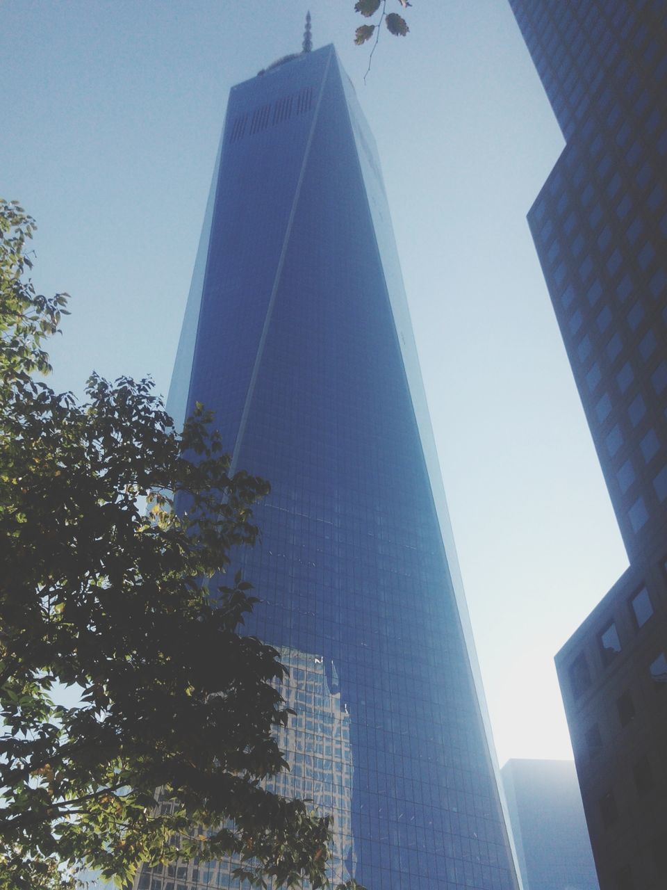 low angle view, architecture, building exterior, built structure, skyscraper, tall - high, modern, tower, city, office building, clear sky, building, capital cities, glass - material, blue, sky, tree, day, famous place, travel destinations