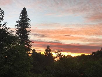 Silhouette trees on landscape against sky during sunset