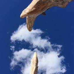 Low angle view of tree against blue sky