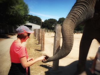 Mature woman touching elephant at zoo