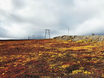 Wind turbines on field against sky