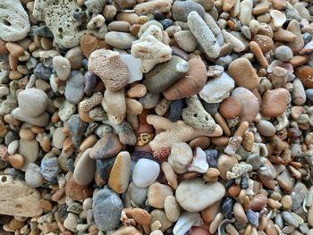 Remains of coral,stone small and shells were blown on the beach.