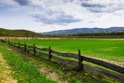 Scenic view of grassy field against sky