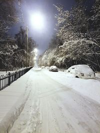 Snow covered road by trees in city