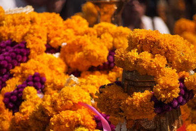 Close-up of yellow flowers on display at market stall