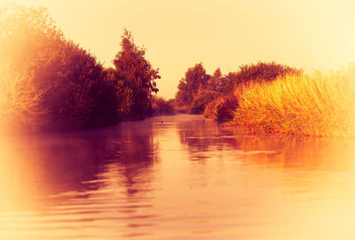 Reflection of trees in water at sunset