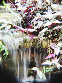 Close-up of waterfall