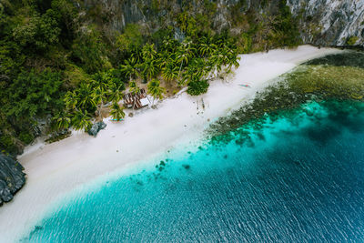 High angle view of plants by sea