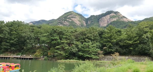 Scenic view of lake by trees against sky