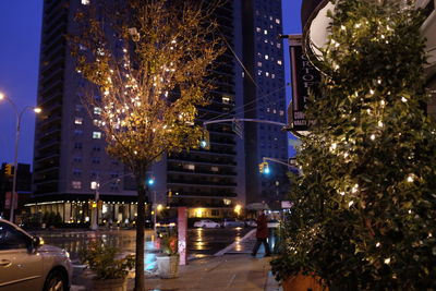 Illuminated christmas tree in city at night