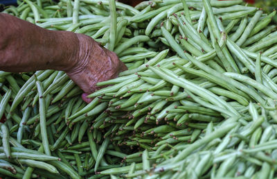 Cropped hand of man holding food