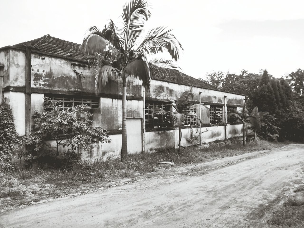 architecture, built structure, building exterior, house, tree, sky, residential structure, residential building, abandoned, day, clear sky, outdoors, no people, building, plant, old, hut, wall - building feature, obsolete, sunlight