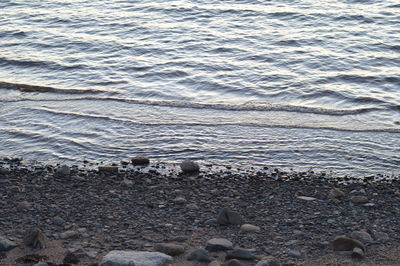 Close-up of pebble beach