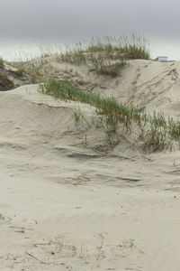 Scenic view of sandy beach