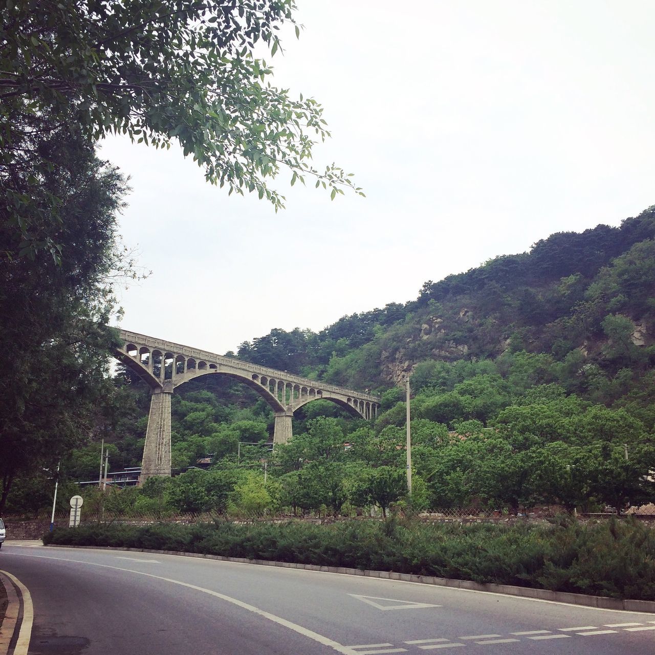 road, tree, transportation, clear sky, the way forward, built structure, architecture, sky, street, mountain, connection, copy space, day, outdoors, road marking, building exterior, plant, nature, growth, empty road