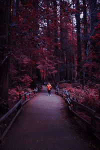Rear view of woman walking on footbridge in forest