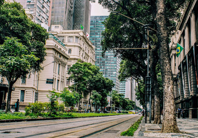 Street amidst trees and buildings in city