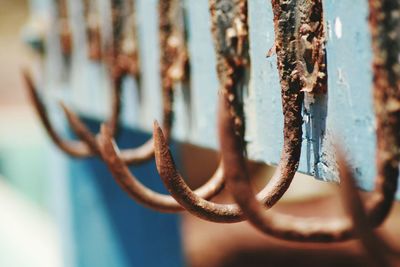 Close-up of rusty hooks on railing