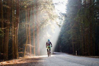 Rear view of man cycling on road in forest