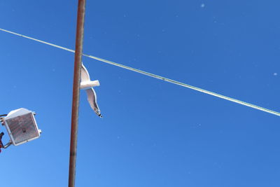 Low angle view of vapor trail against clear blue sky