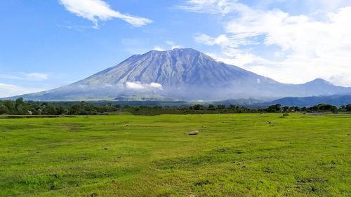 Scenic view of green landscape and mountains against sky