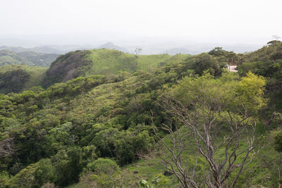 Scenic view of mountains