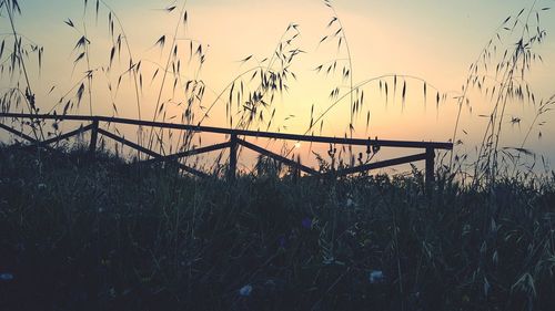 Scenic view of field against sky during sunset