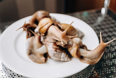 High angle view of meat in plate on table