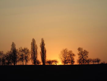 Silhouette trees on field against sky during sunset